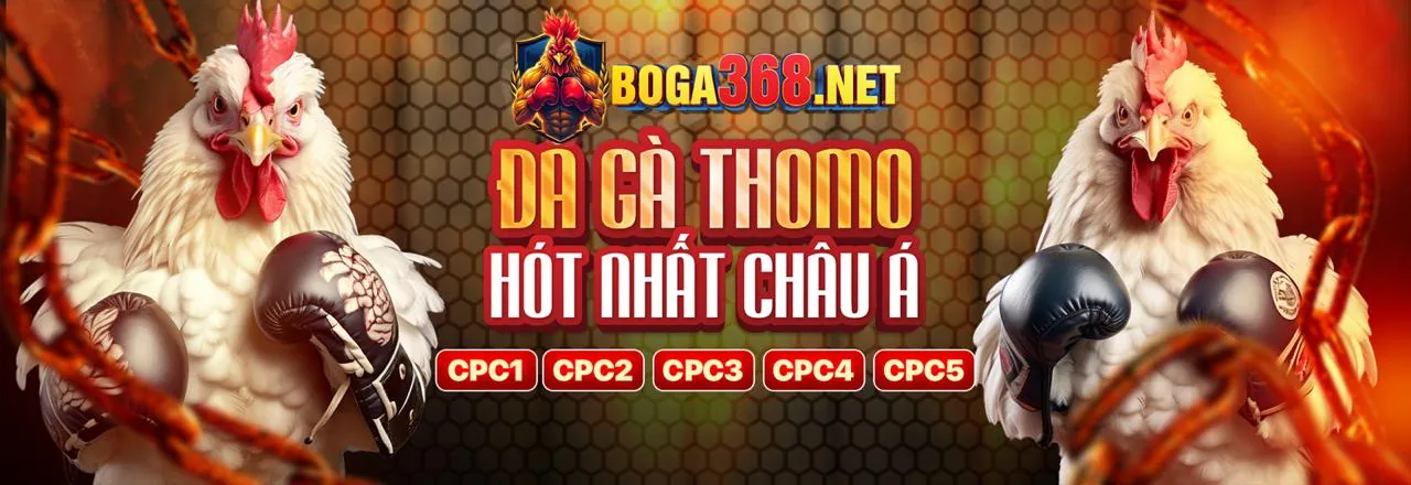 Đấu trường đá gà trực tuyến sôi động tại vibet88