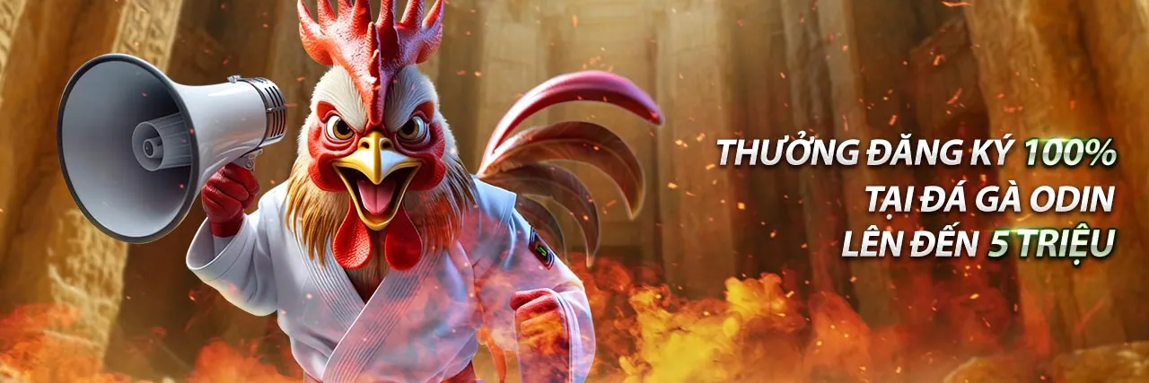 Hướng Dẫn Cá Cược Thể Thao Cho Người Mới Bắt Đầu Tại vibet88